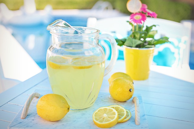 Top Lemon Squad Alternatives: Comparing Price, Speed, and Customer Satisfaction